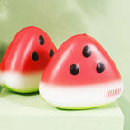 Watermelon Squishy Fidget Toy
